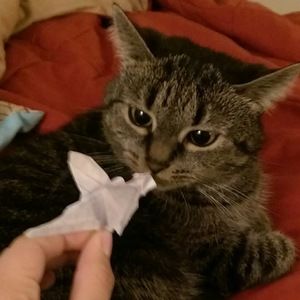 Meet your Posher, Natalia